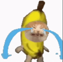 Crying banana cat meme